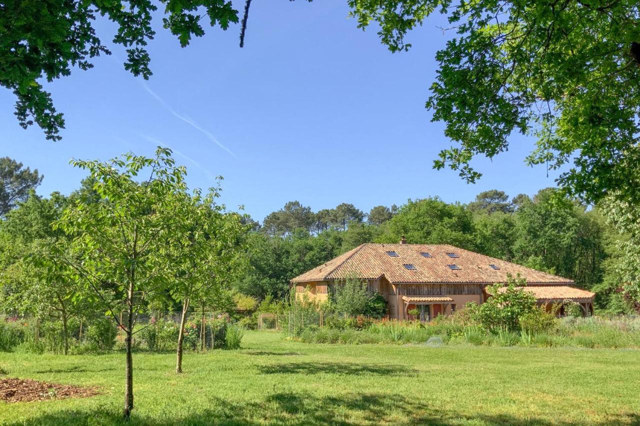 Chambres d'hôtes à Pontonx Buglose Esterno foto